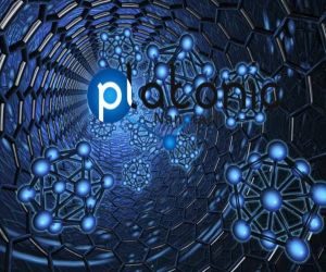 Multi Walled Carbon Nanotubes